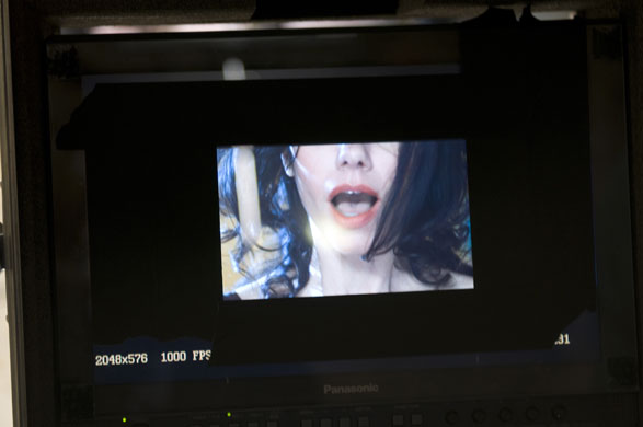 Chapman: PJ Harvey video by the Chapman Brothers