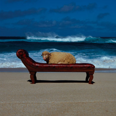 Storm Thorgerson: 10CC- Are You Normal
