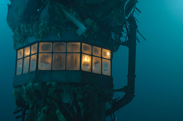 Gorillaz Travel: Gorillaz Travel 8