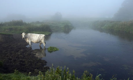 River Waveney, Suffolk