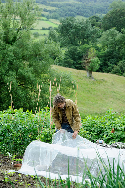 Observer Gardening: Gardening August to do Dan Pearson
