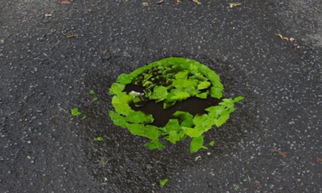 goldsworthy puddle