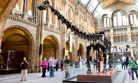 Dippy the dinosaur in the Natural History Museum's entrance hall.