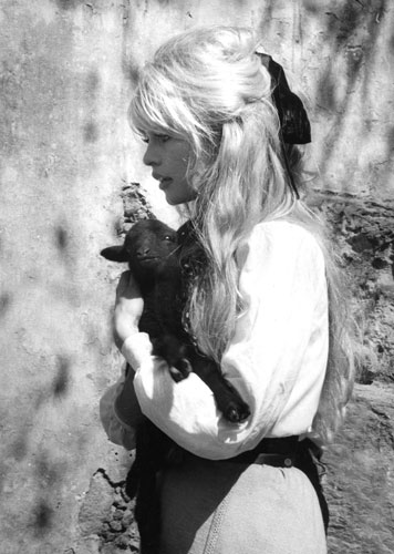 Marina Cicogna photos: Brigitte Bardot  in Cuernavaca, Mexico by Marina Cicogna