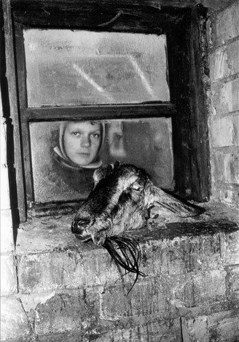 Rimaldas Viksraitis: Farmstead Dream, 2002 by Rimaldas Viksraitis