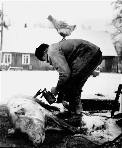 Rimaldas Viksraitis: Slaughter, 1982 by Rimaldas Viksraitis