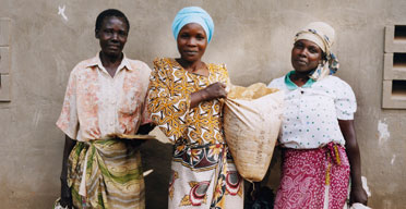 Coffee Workers