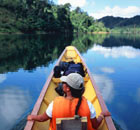 Gap Year Plans