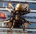 Liverpool's Giant Spider