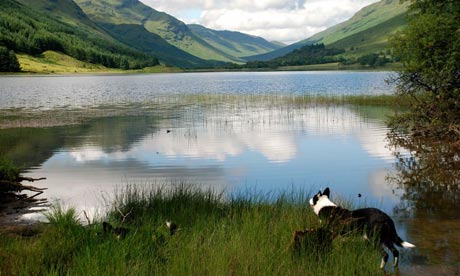 Fantastic Farm Stays