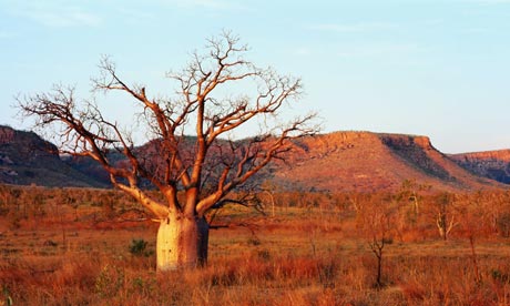 Dip into the Outback
