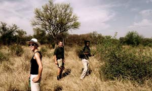 Clemancy Burton Hill samples South Africa