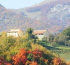 A taste of Italy at harvest time