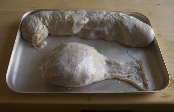 Gallery Make your own haggis: Haggis sutured