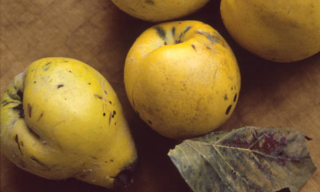 Recipes using quince