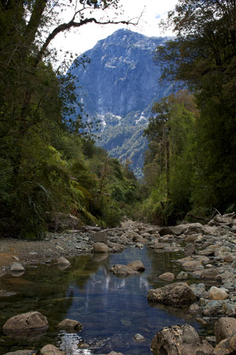 Patagonia conservation: Parque Pumalin, Chile
