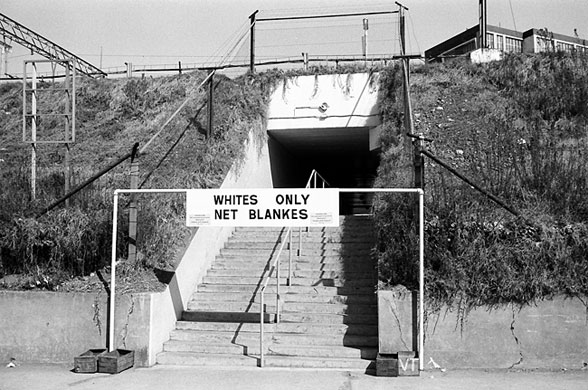 Lions 1974: An entrance to Ellis Park