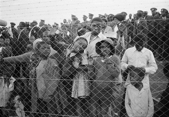 Lions 1974: Spectators watch the Leopards game from behind a fence