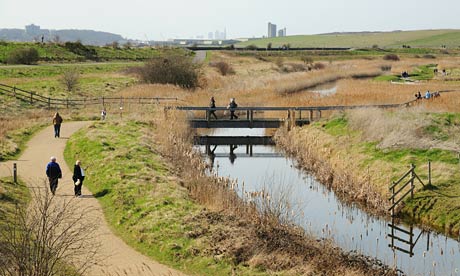 RSPB bird reserve on Rainham Marshes