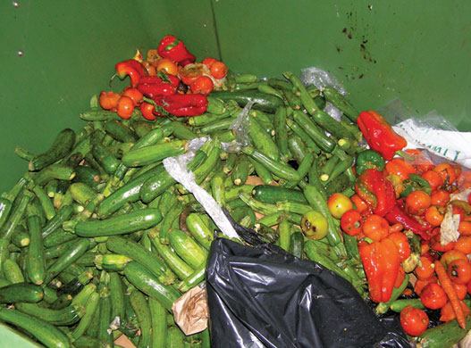 Food waste: The contents of the bins of an organic fruit and vegetable shop