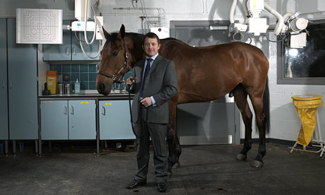 Greg McGarrell with an equine patient