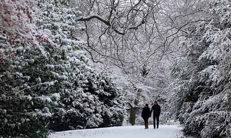 Westonbirt arboretum