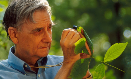 Dr. E.O. Wilson 