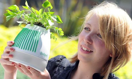 natalie king tulipe pot