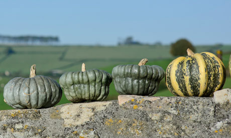 Gardens: the changing of the gourd