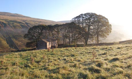 Bronte Country