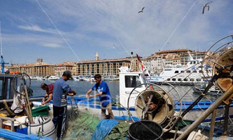Fish market in Marseille