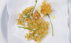 Nigel Slater's classic elderflower fritters