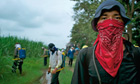 sugar cane workers