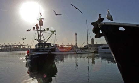 Terminal Island's Fish Harbor