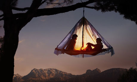 hanging tree tent