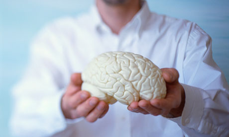 Holding Model of a Brain