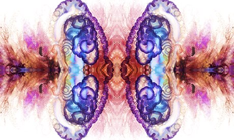 aaron-ansarov-portuguese-man-owar-picture