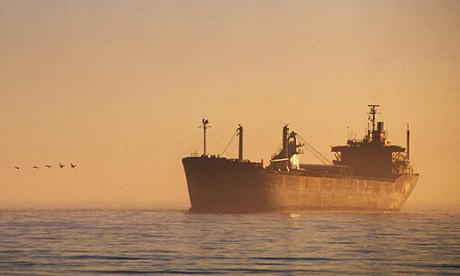 Sea birds and freighter, Baja California