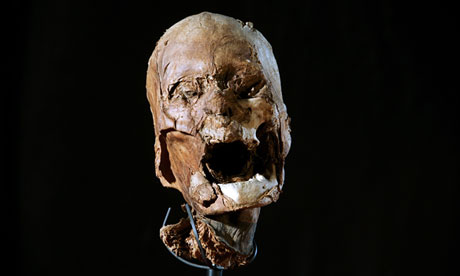 The mummified skull found in the attic of a retired tax collector