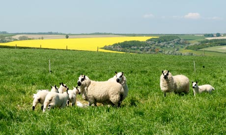 yorkshire food