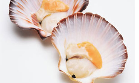 Scallops-001.jpg