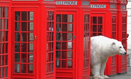 polar bear in London