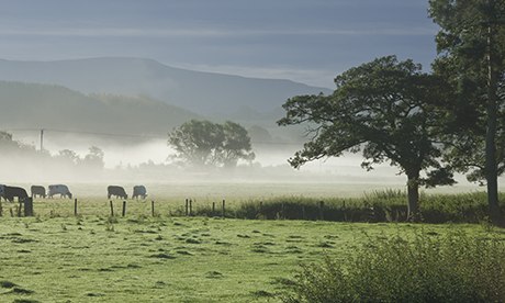 Eden Valley with mist and trees