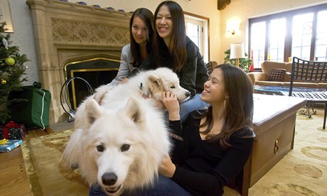 Amy Chua