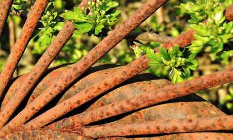 Tech Monthly witness, forces