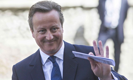 David Cameron, Observer leader