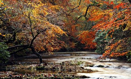 Seeking the source: a serene spot on the Severn, one of many British rivers followed by Norbury.