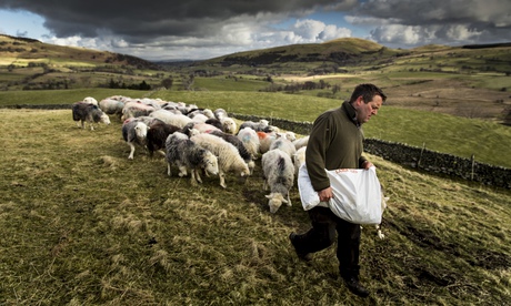 'Modest': James Rebanks on his farm at Matterdale End in Cumbria.