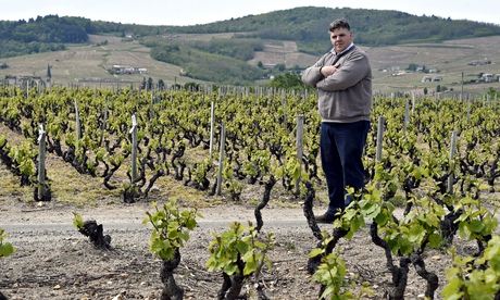 Thibault Liger- Belair on the road that divides his vineyard between two districts in central France