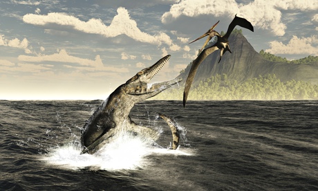 The Earth stands on the brink of its sixth mass extinction and the fault is ours